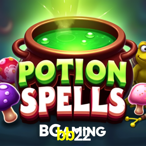 Flash Promotion bb22